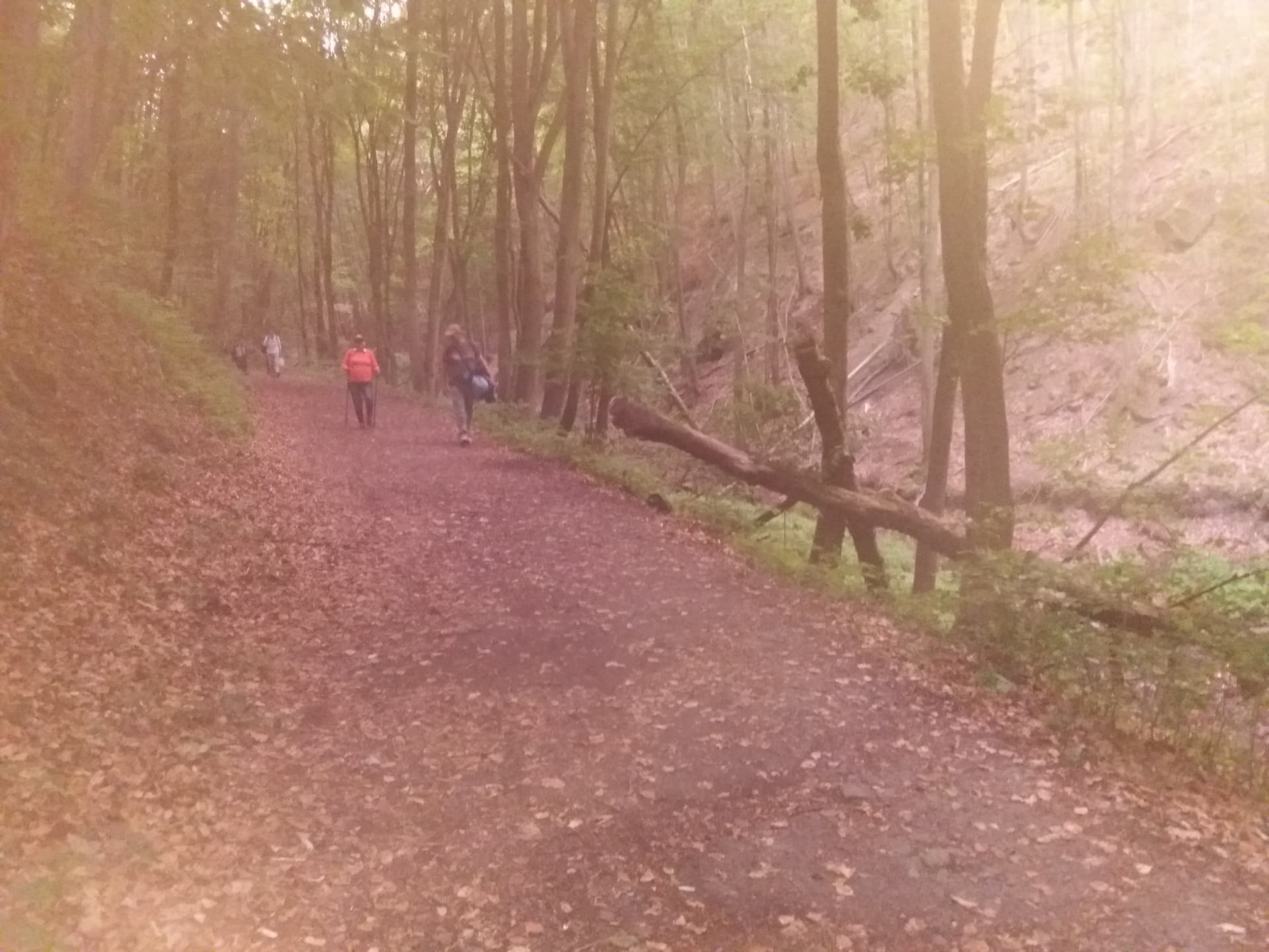 Pirkadat előtt van a legsötétebb - túra